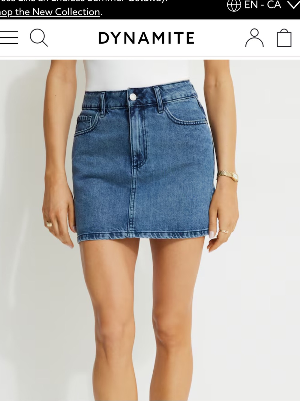 Dynamite Denim Skirt